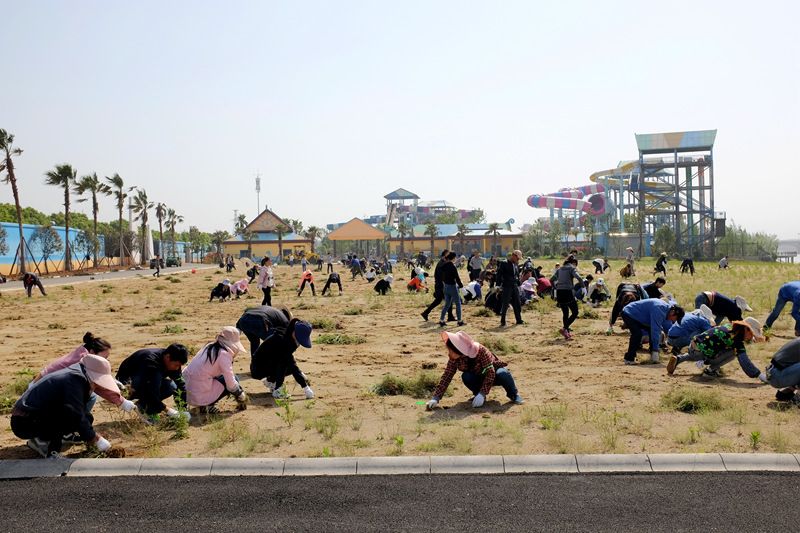 人心齊、干勁大,我們都是拔草能手_副本.jpg 人心齊、干勁大,我們都是拔草能手_副本.jpg
