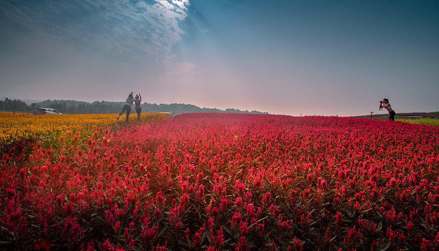 4-《花中花》伏艷_副本.jpg 4-《花中花》伏艷_副本.jpg