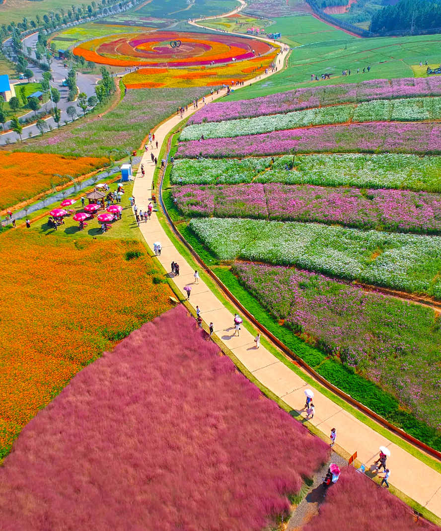 10.《一路繁花》 陳強 15873146666_副本.jpg 10.《一路繁花》 陳強 15873146666_副本.jpg